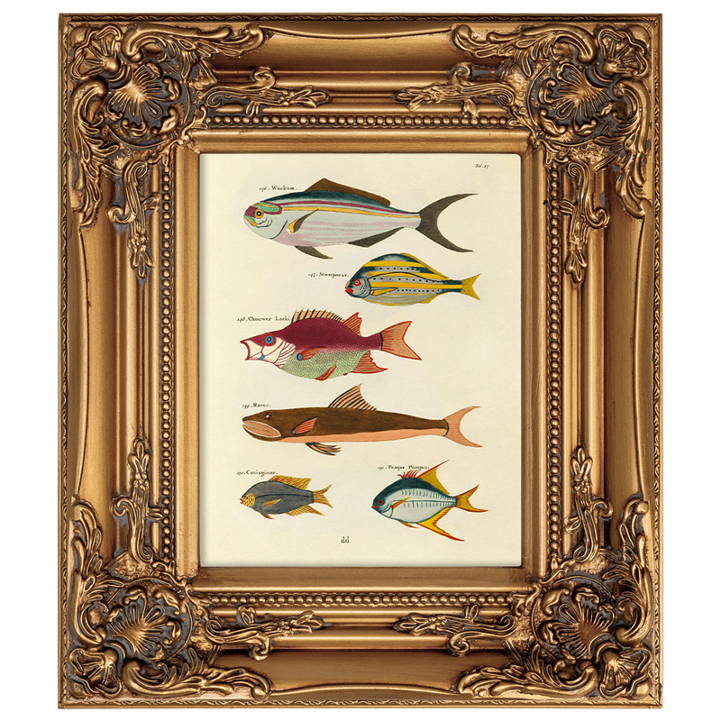 

Постер в раме из натурального дерева Fishes 4