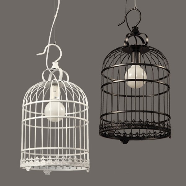  Bird Cage      | Loft Concept 
