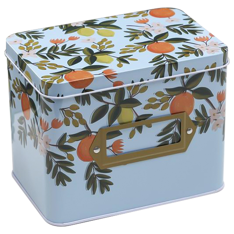   Oranges and Lemons Colorful Metal Tea Box    | Loft Concept 
