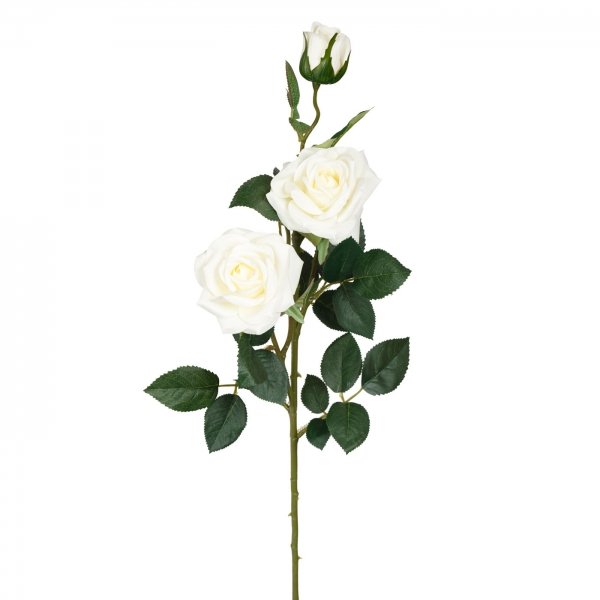    Large Branch White Rose     | Loft Concept 