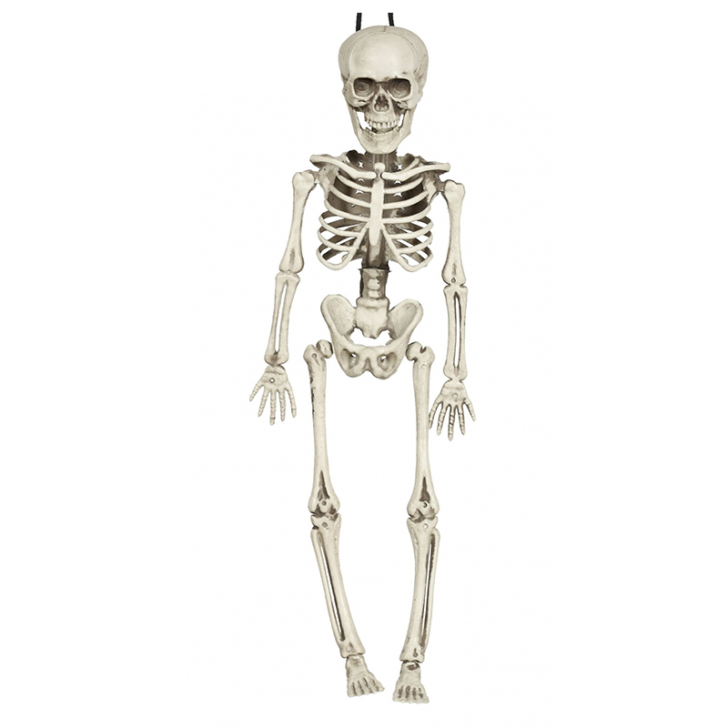  HALLOWEEN Skeleton small    | Loft Concept 