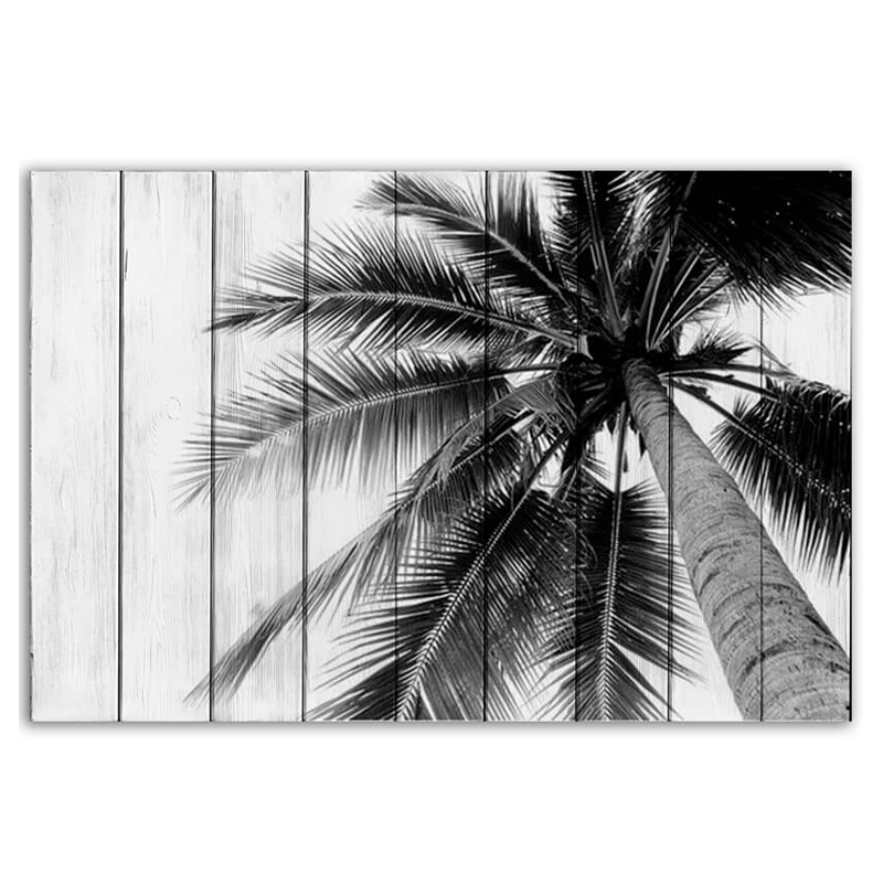  Palm    | Loft Concept 
