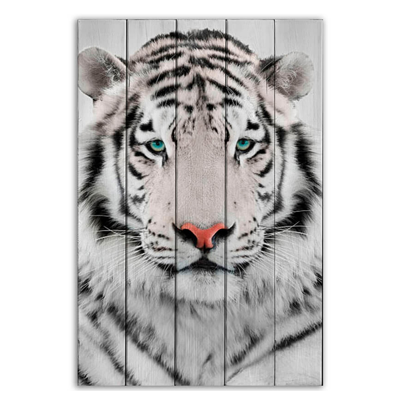 Постер White Tiger