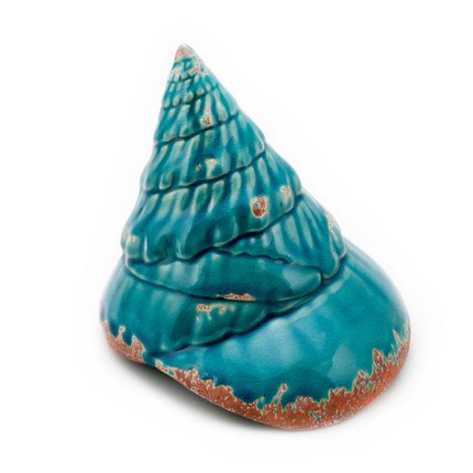  Shell Turquoise #2 ̆   | Loft Concept 
