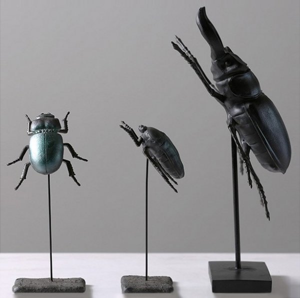  Beetle Family    | Loft Concept 