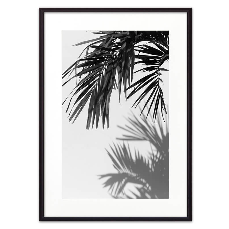  Palm Branch    | Loft Concept 
