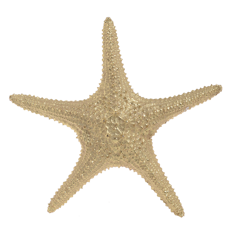  Starfish Gold 27    | Loft Concept 
