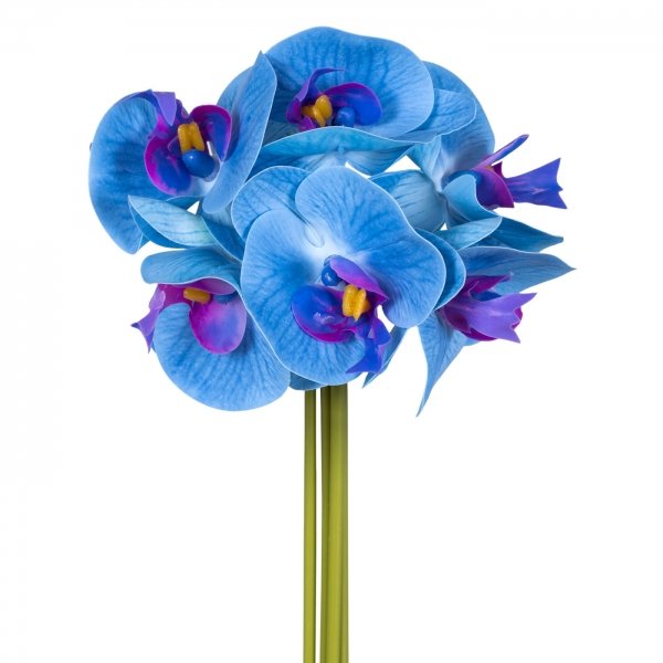    Bouquet Of Blue Orchids     | Loft Concept 