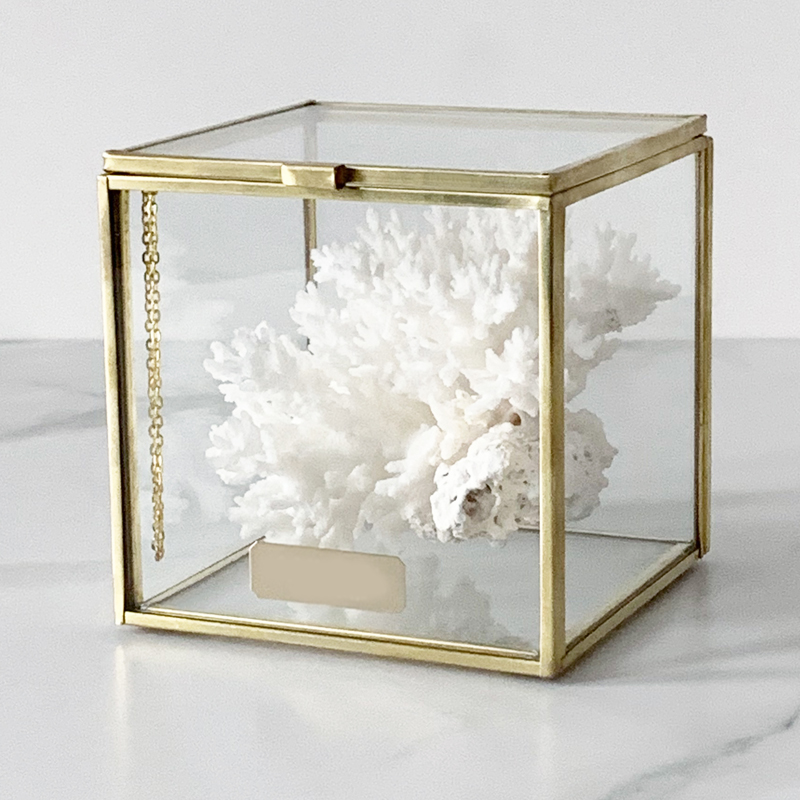 

Статуэтка Natural Coral Glass Box S