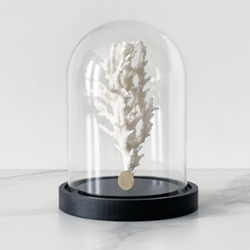  White Coral Glass Cloche    | Loft Concept 
