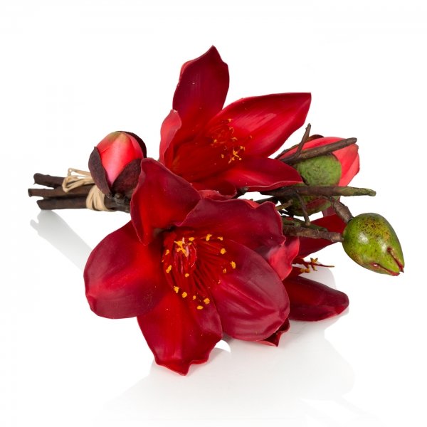    Bouquet Of Red Magnolia     | Loft Concept 