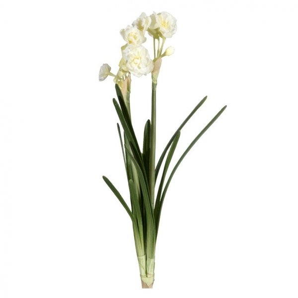    Decorative Daffodil     | Loft Concept 