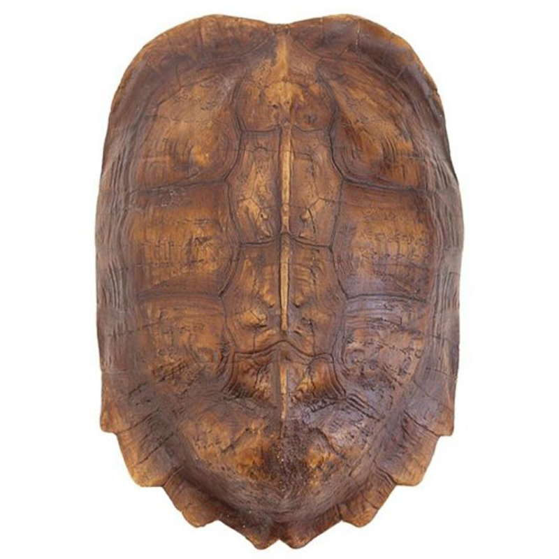  Turtle Shell Natural Light Brown    | Loft Concept 