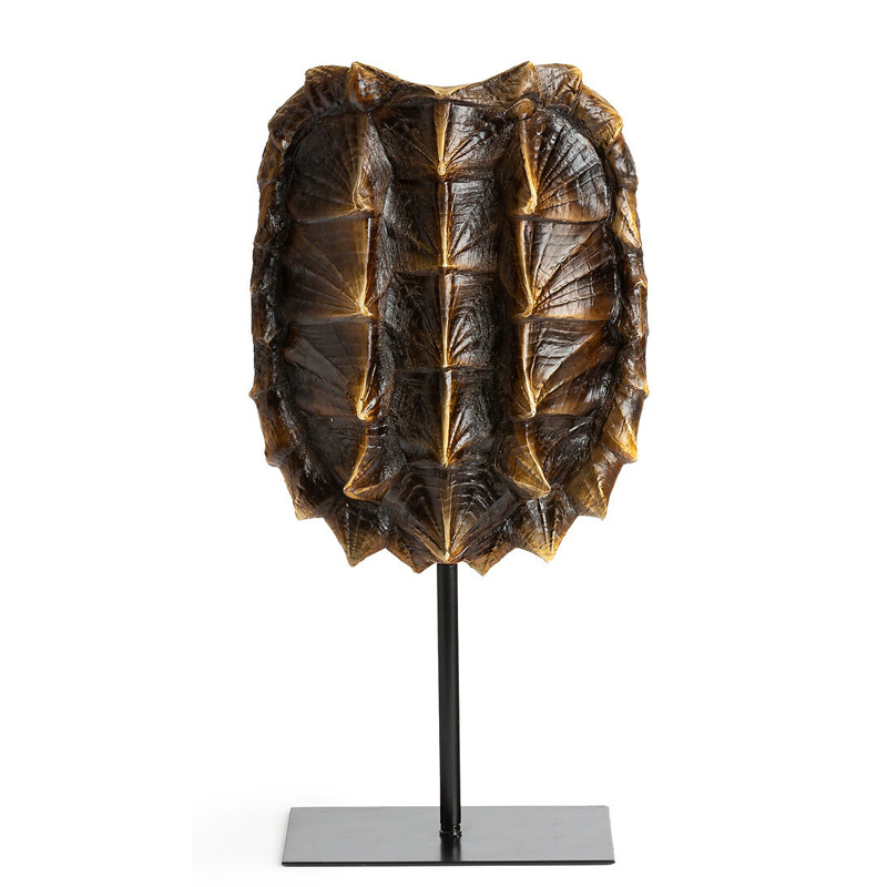  Tortoise Shell     | Loft Concept 