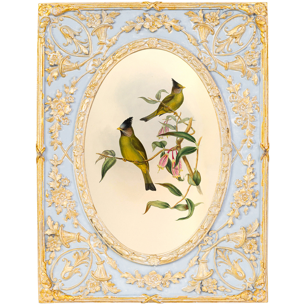 

Декоративный постер с изображением птиц в раме с рельефным растительным узором Blooming Birds Poster