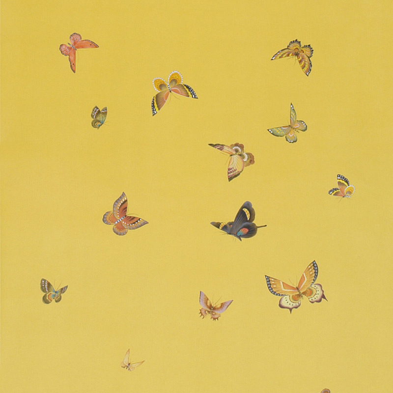    Butterflies Monarch on dyed paper    | Loft Concept 