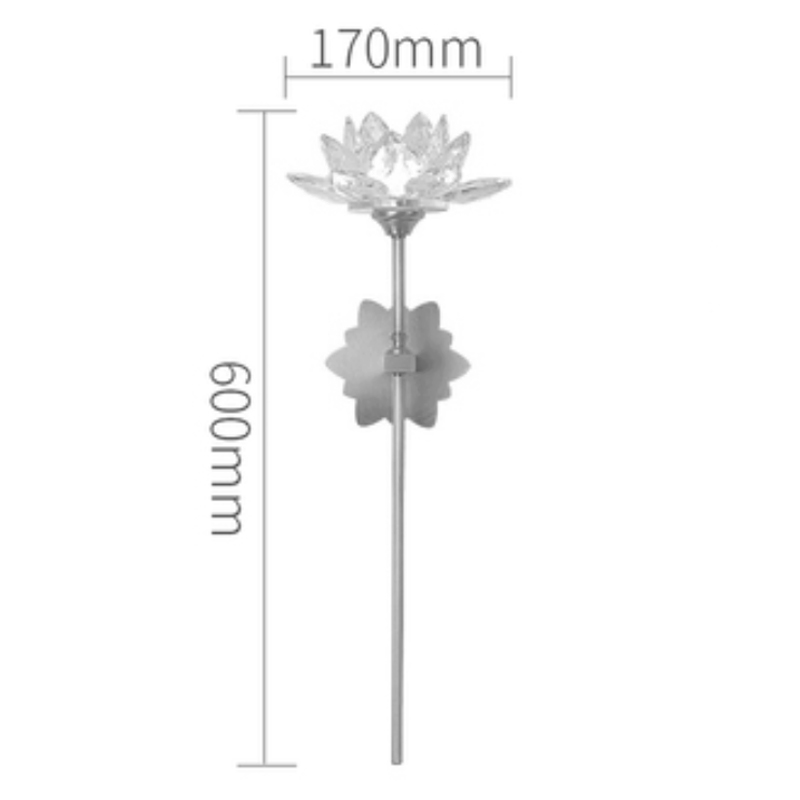     Lotus flower Wall Clear Glass D  