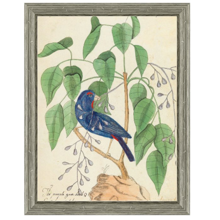  Blue Bird In Foliage    | Loft Concept 
