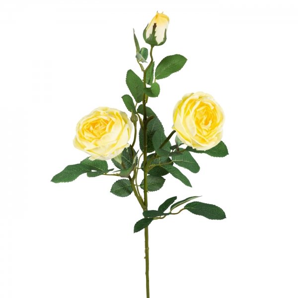    Large Branch Yellow Rose     | Loft Concept 