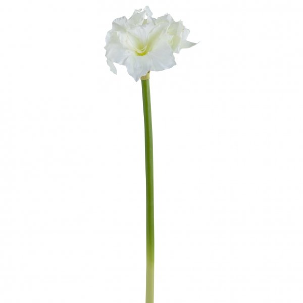    White Flower     | Loft Concept 