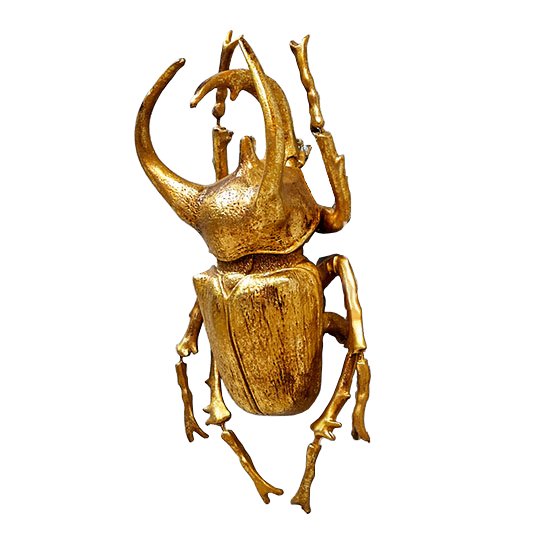    Big Horned Beetle    | Loft Concept 