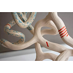 Скульптура «Papañca» варинант исполнения - 3 | Loft Concept в Москве