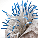 Статуэтка тропический фрукт Tropical Fruit White Blue варинант исполнения - 1 | Loft Concept в Москве