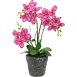 Декоративный искусственное растение Pink orchid варинант исполнения - 1 | Loft Concept в Москве