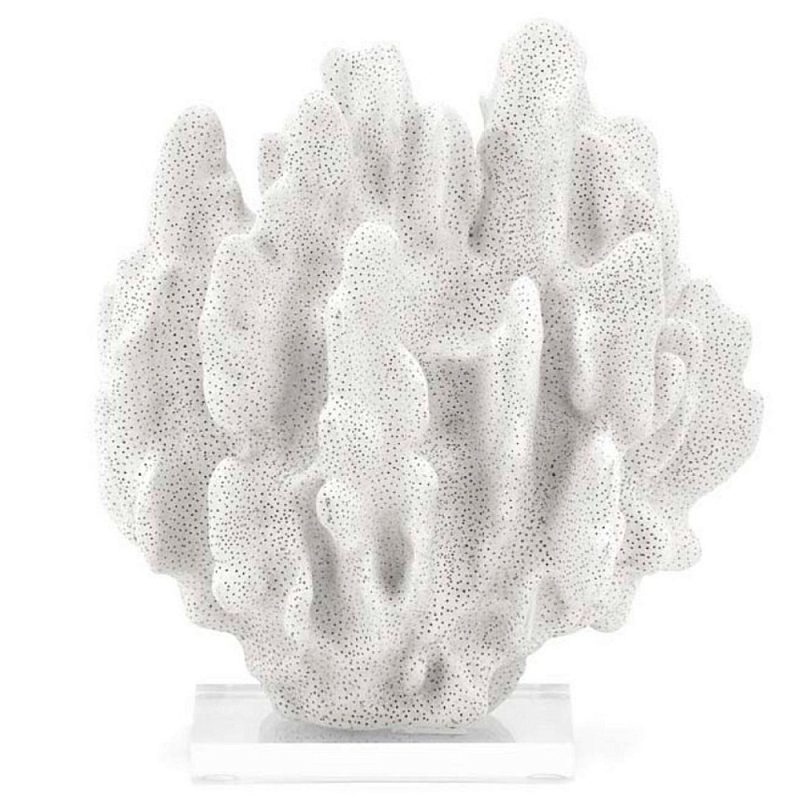 White sponge coral top
