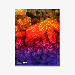 Редкое подарочное издание Yayoi Kusama: 1945 to Now варинант исполнения - 3 | Loft Concept в Москве