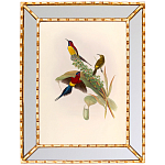 Постер с изображением птиц и цветов в зеркальной раме Blooming Birds Poster варинант исполнения - 4 | Loft Concept в Москве