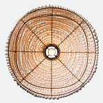Подвесной светильник в виде купола декорированный белыми деревянными бусинами White Wooden Beads Hanging Lamp варинант исполнения - 4 | Loft Concept в Москве