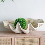 Блюдо декоративное в виде ракушки Seashell варинант исполнения - 3 | Loft Concept в Москве