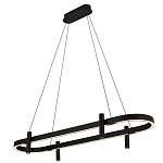 Люстра подвесная овальная черная  Black Light Fixtures варинант исполнения - 1 | Loft Concept в Москве