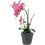 Декоративный искусственное растение Pink orchid варинант исполнения - 4 | Loft Concept в Москве
