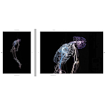 Монография художника Tavares Strachan - There is Light Somewhere варинант исполнения - 6 | Loft Concept в Москве