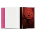 Книга Gisele Bundchen варинант исполнения - 7 | Loft Concept в Москве