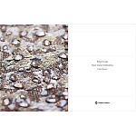 Книга Maison Lesage: Haute Couture Embroidery Mauries Patrick варинант исполнения - 11 | Loft Concept в Москве