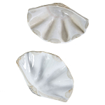 Фигурка из фарфора в виде одной створки ракушки Marine Tridacna варинант исполнения - 3 | Loft Concept в Москве