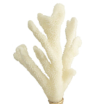 Статуэтка Stand Coral варинант исполнения - 2 | Loft Concept в Москве