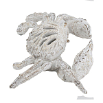 Статуэтка краб с детализированной текстурой в белом цвете Marine Accessories варинант исполнения - 4 | Loft Concept в Москве