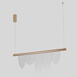 Люстра подвесная с пятью прозрачными элементами в форме лепестков и золотистым металлическим основанием DALI Tonin Casa варинант исполнения - 2 | Loft Concept в Москве