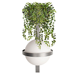 Бра Benedict Dark grey варинант исполнения - 1 | Loft Concept в Москве