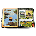 Подарочнный коллекционный фото альбом AFRICAN ADVENTURES NEW 2023 ASSOULINE HC UNBELIEVABLE ILLUSTRATIONS Safari варинант исполнения - 7 | Loft Concept в Москве
