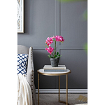 Декоративный искусственное растение Pink orchid варинант исполнения - 8 | Loft Concept в Москве