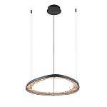 Люстра светодиодная  Iris варинант исполнения - 2 | Loft Concept в Москве