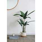 Декоративный искусственное растение Decor Stile  варинант исполнения - 7 | Loft Concept в Москве