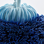 Статуэтка Синий тропический фрукт Tropical Fruit Pandora 1 варинант исполнения - 4 | Loft Concept в Москве