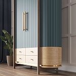 Шкаф «Гавайи» варинант исполнения - 2 | Loft Concept в Москве