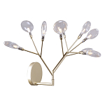 Бра в виде ветвей с прозрачными круглыми плафонами Moooi варинант исполнения - 1 | Loft Concept в Москве